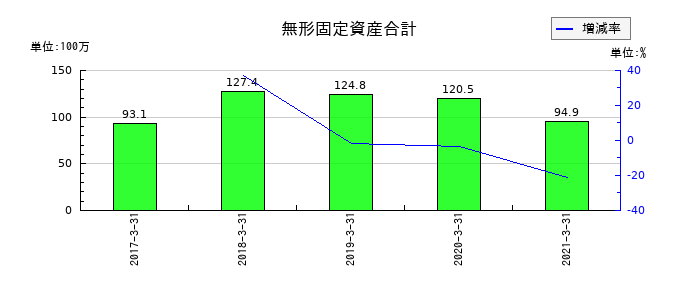 前田製作所の無形固定資産合計の推移