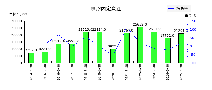 北川精機の無形固定資産の推移
