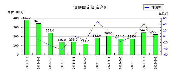 大同工業の無形固定資産合計の推移