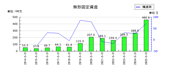 ヤマダコーポレーションの無形固定資産の推移