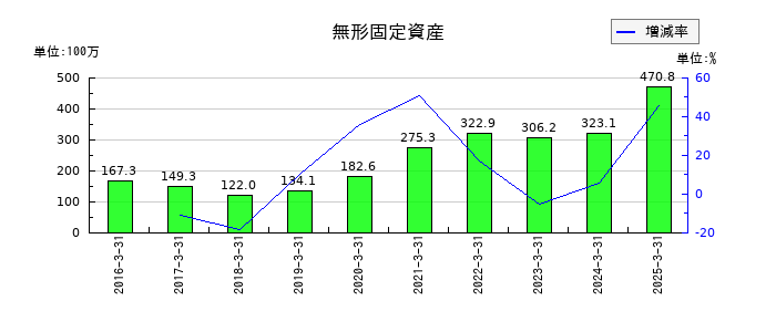 マースグループホールディングスの無形固定資産の推移