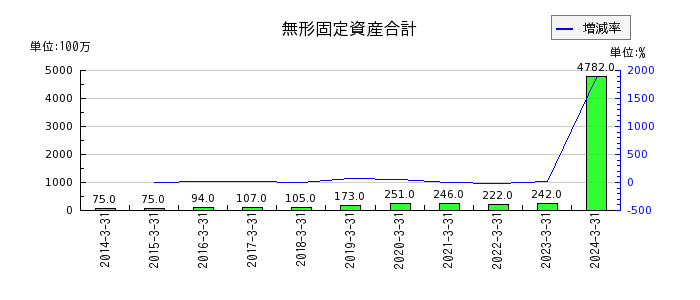 日本ピラー工業の無形固定資産合計の推移