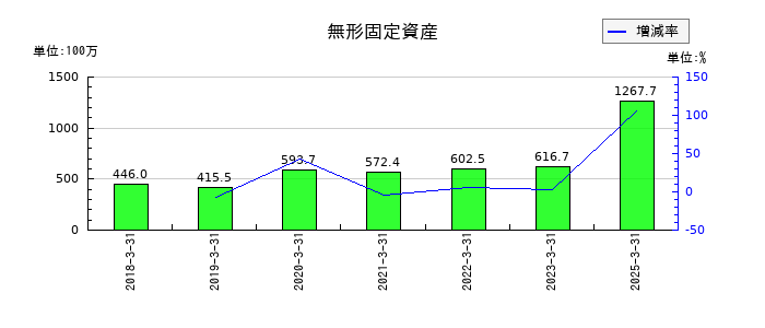 ＮＩＴＴＡＮの無形固定資産の推移