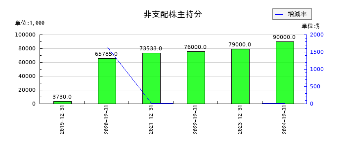WASHハウスの非支配株主持分の推移
