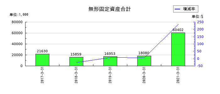 グレイステクノロジーの無形固定資産合計の推移
