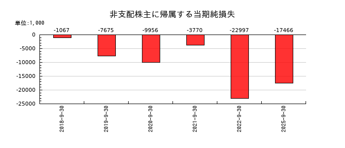 ツナググループ・ホールディングスの非支配株主に帰属する当期純損失の推移