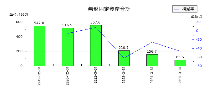 ＡＩＡＩグループの無形固定資産合計の推移