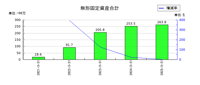シキノハイテックの無形固定資産合計の推移
