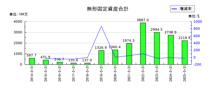 テクノホライゾンの無形固定資産合計の推移