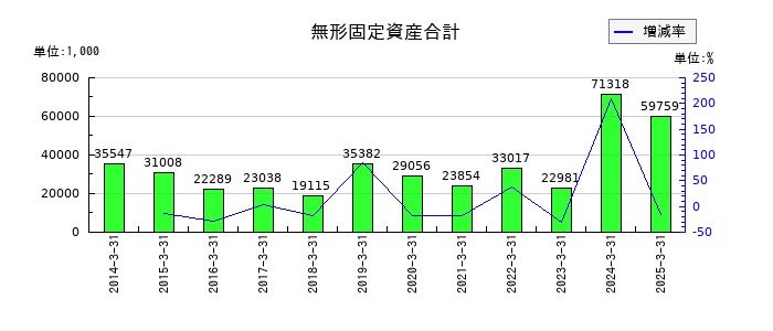 テクノメディカの無形固定資産合計の推移