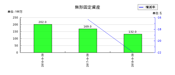 KIホールディングスの無形固定資産の推移