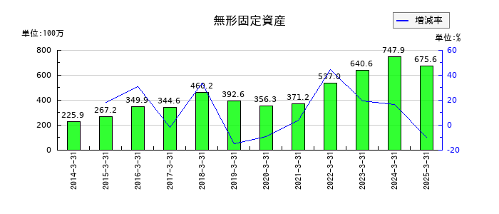 大井電気の無形固定資産の推移