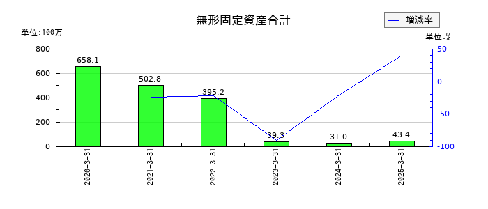 リーダー電子の無形固定資産合計の推移
