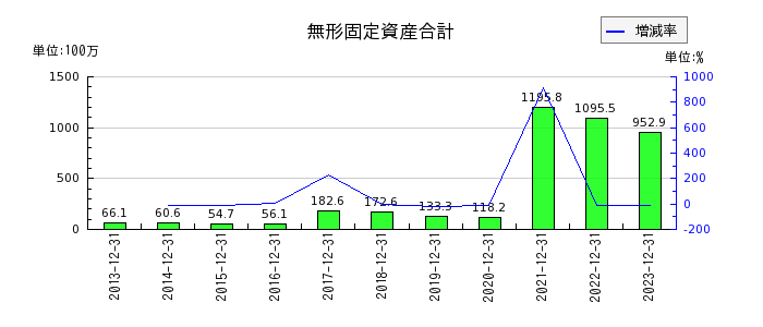 日本フェンオールの無形固定資産合計の推移