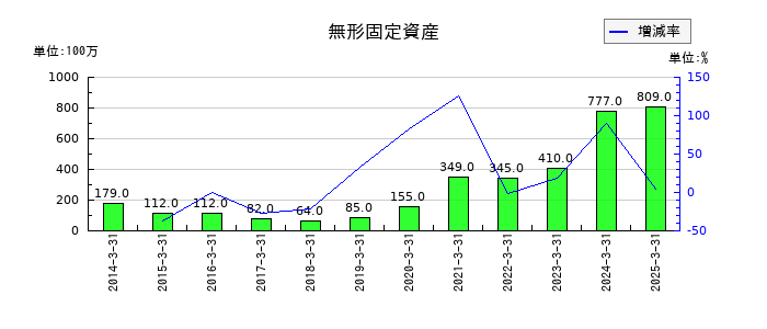 澤藤電機の無形固定資産の推移