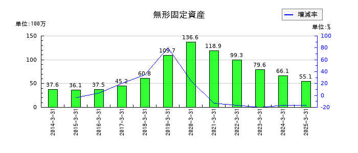 菊水ホールディングスの無形固定資産の推移