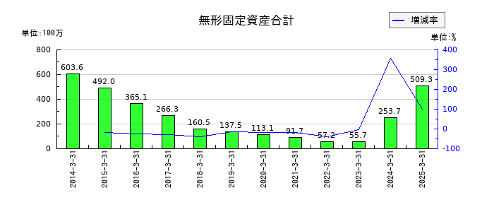 ＮＫＫスイッチズの無形固定資産合計の推移