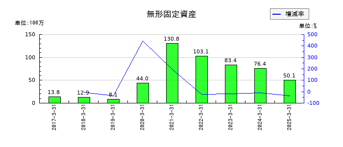 ニッチツの無形固定資産の推移