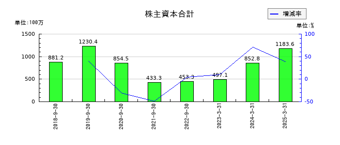 アクセスグループ・ホールディングスの株主資本合計の推移