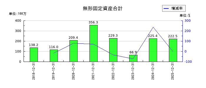 ピアラの無形固定資産合計の推移