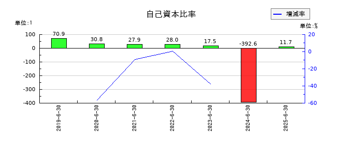 Birdmanの自己資本比率の推移