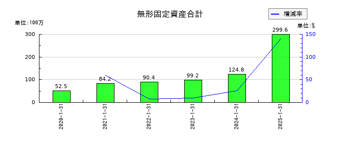 ハウテレビジョンの無形固定資産合計の推移