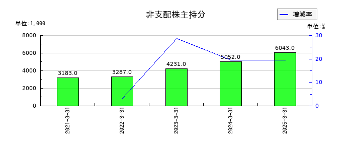 ブランディングテクノロジーの非支配株主持分の推移