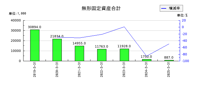 ブランディングテクノロジーの無形固定資産合計の推移