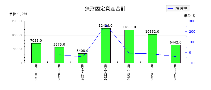 名南M&Aの無形固定資産合計の推移