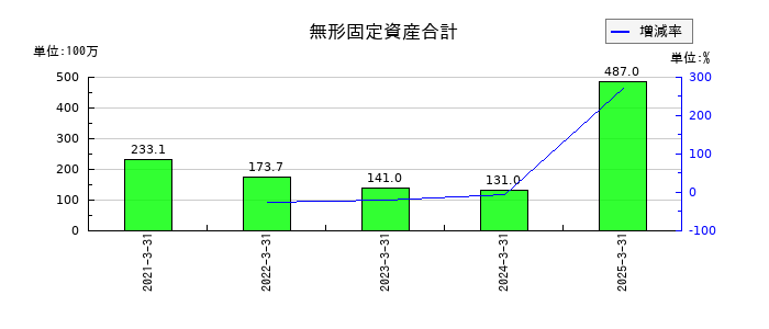 ファーストフィットネス（Fast Fitness Japan）の無形固定資産合計の推移