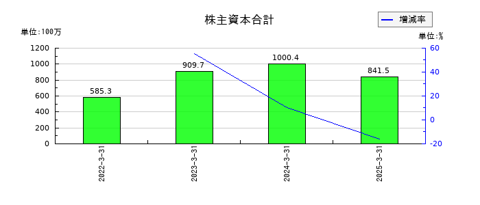 一家ホールディングスの株主資本合計の推移