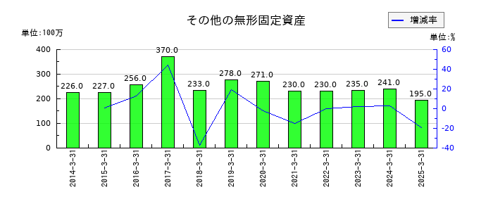 じもとホールディングスのその他の無形固定資産の推移