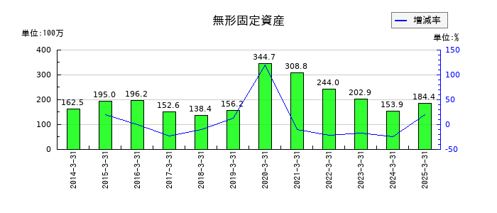東京ラヂエーター製造の無形固定資産の推移