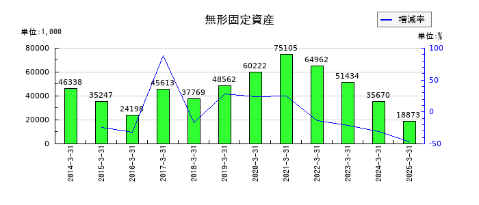 桜井製作所の無形固定資産の推移