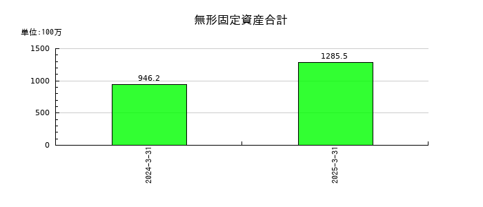 松屋アールアンドディの無形固定資産合計の推移