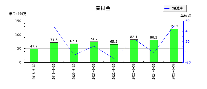 Solvvyの買掛金の推移