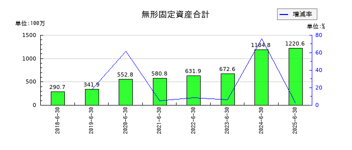 アイリックコーポレーションの無形固定資産合計の推移
