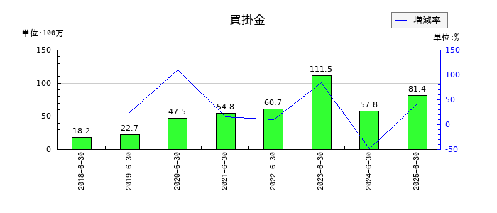 アイリックコーポレーションの買掛金の推移