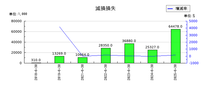 アイリックコーポレーションの減損損失の推移