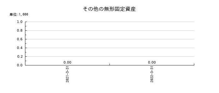 アイペットホールディングスのその他の無形固定資産の推移