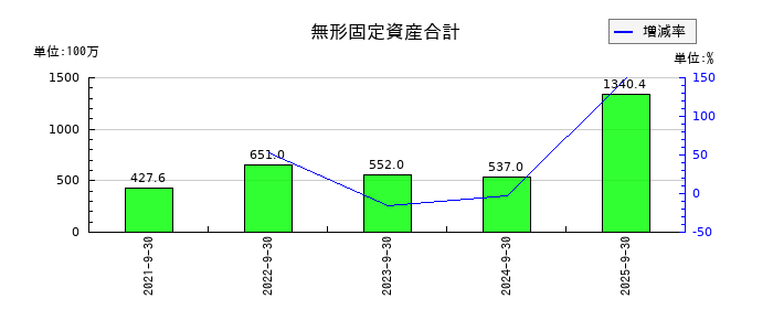 ヒューマンクリエイションホールディングス	の無形固定資産合計の推移