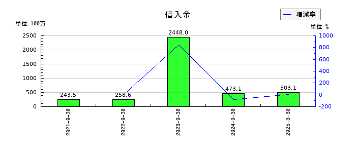 デコルテ・ホールディングスの借入金の推移
