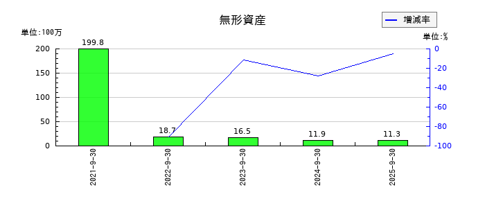 デコルテ・ホールディングスの無形資産の推移