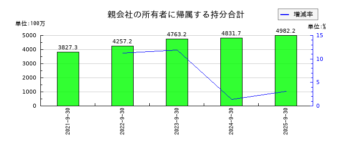 デコルテ・ホールディングスの親会社の所有者に帰属する持分合計の推移