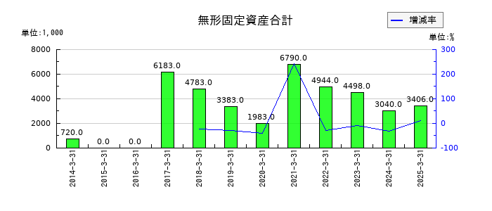 横浜魚類の無形固定資産合計の推移