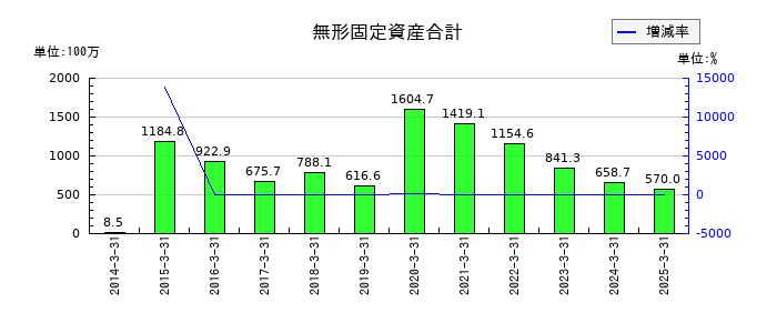 ヤギの無形固定資産合計の推移