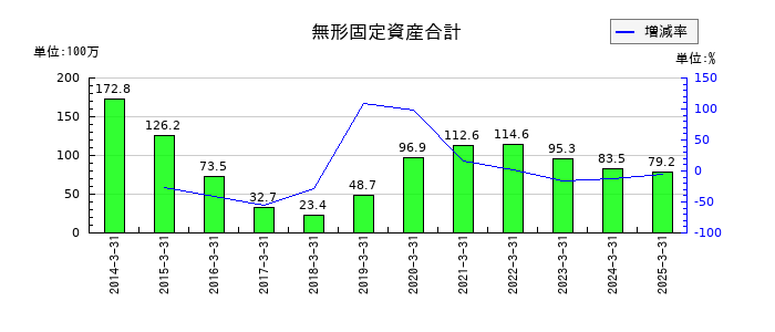 大田花きの無形固定資産合計の推移