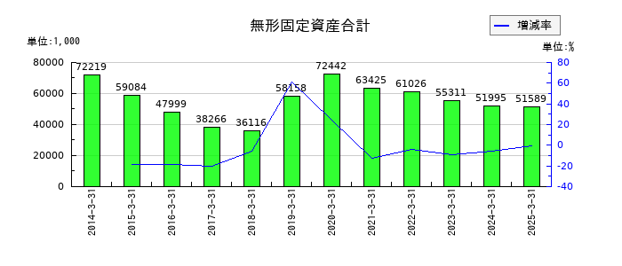 ジーエフシーの無形固定資産合計の推移