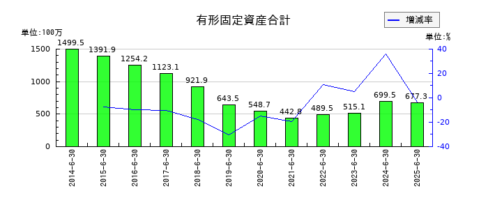 かんなん丸の有形固定資産合計の推移