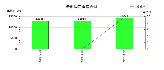 かんなん丸の無形固定資産合計の推移